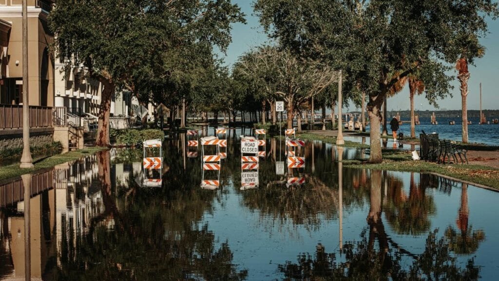 A flooded street with road closed signs reflecting in the water along a tree-lined sidewalk.