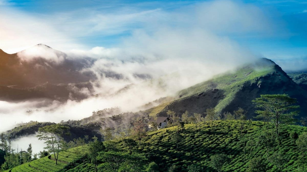 Breathtaking view of mist-covered mountains and tea plantations in Vagamon, India at sunrise.