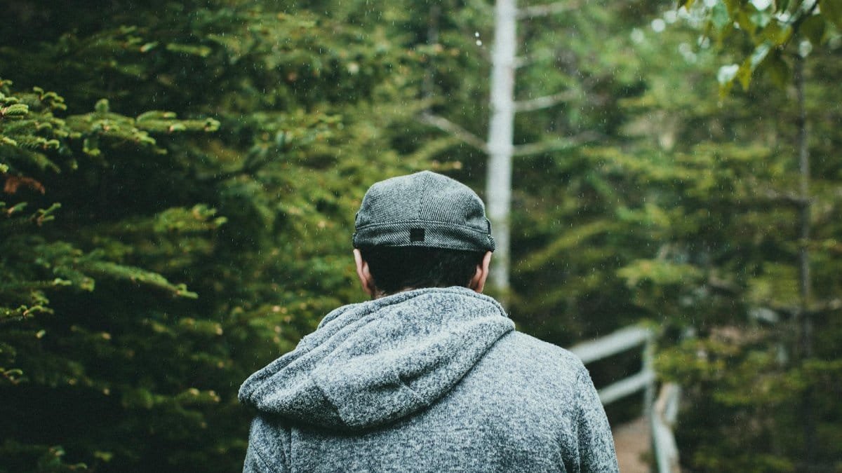Back view of a man in gray hoodie walking through a lush forest in the rain.