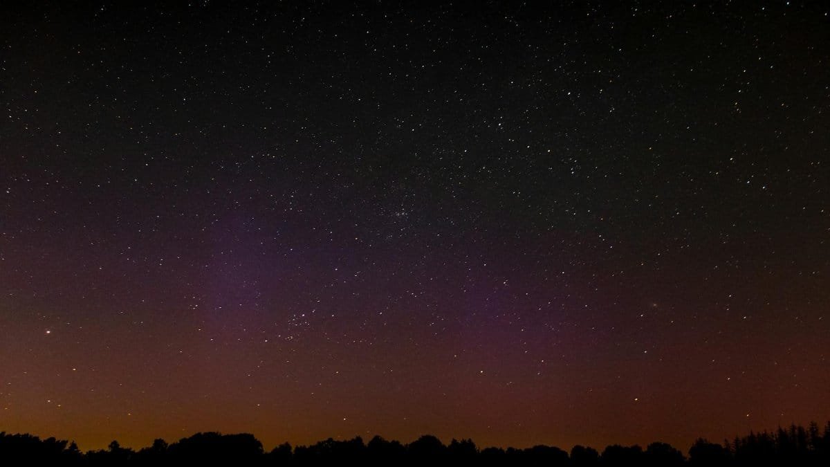 A breathtaking view of a starry night sky with faint aurora glows above a silhouette of trees.