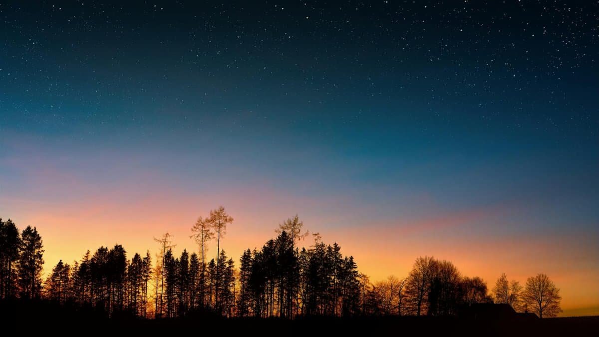 A serene sunset with starry sky above silhouetted trees, perfect for backgrounds.