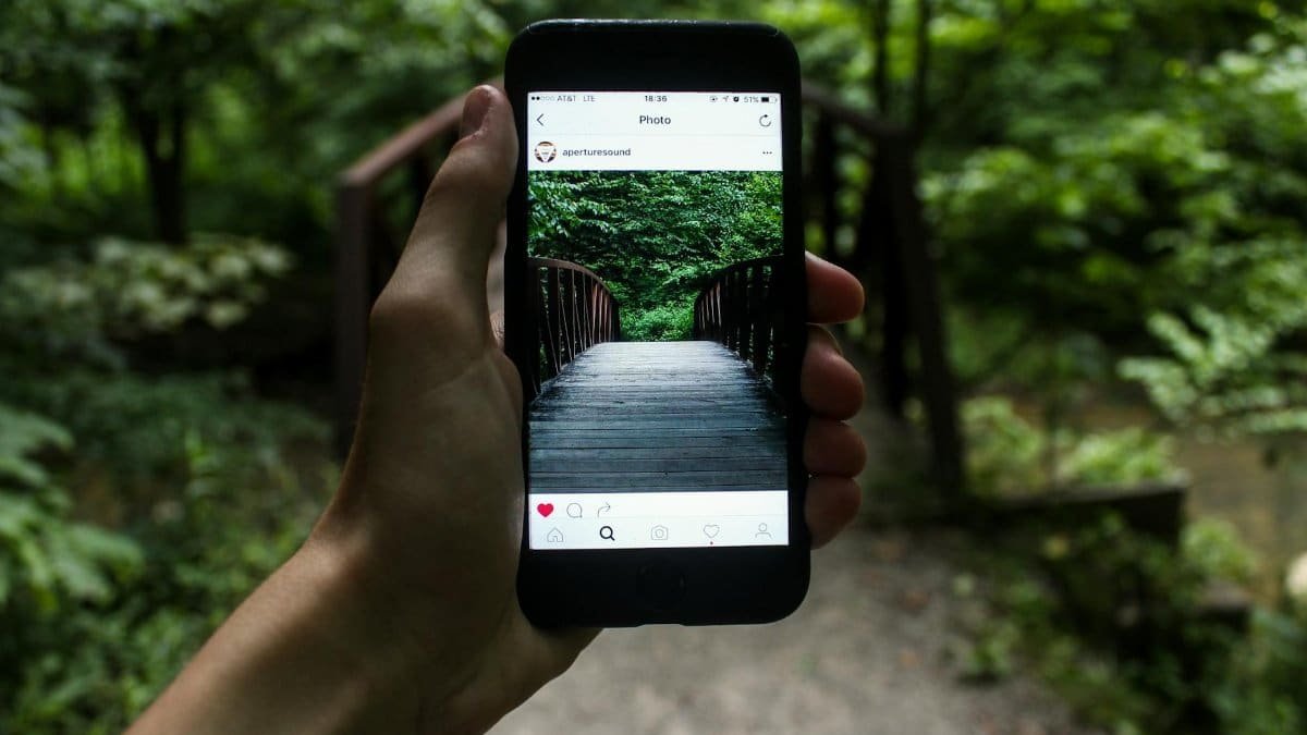 A hand holds a smartphone capturing a forest bridge in a natural setting.