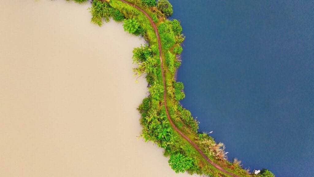 Aerial view of contrasting water bodies separated by lush green path in Banten, Indonesia.