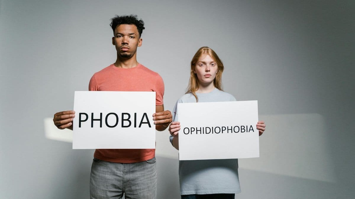 Portrait of people holding signs about phobias and ophidiophobia.