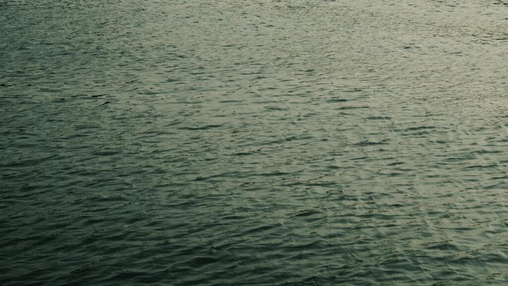 The Neuroscience of Zen Koans: Why Riddles Calm the Brain Featured