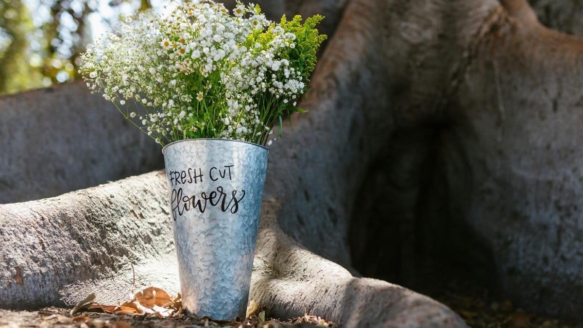 A bucket of fresh cut flowers, including baby's breath, placed on a tree trunk outdoors.