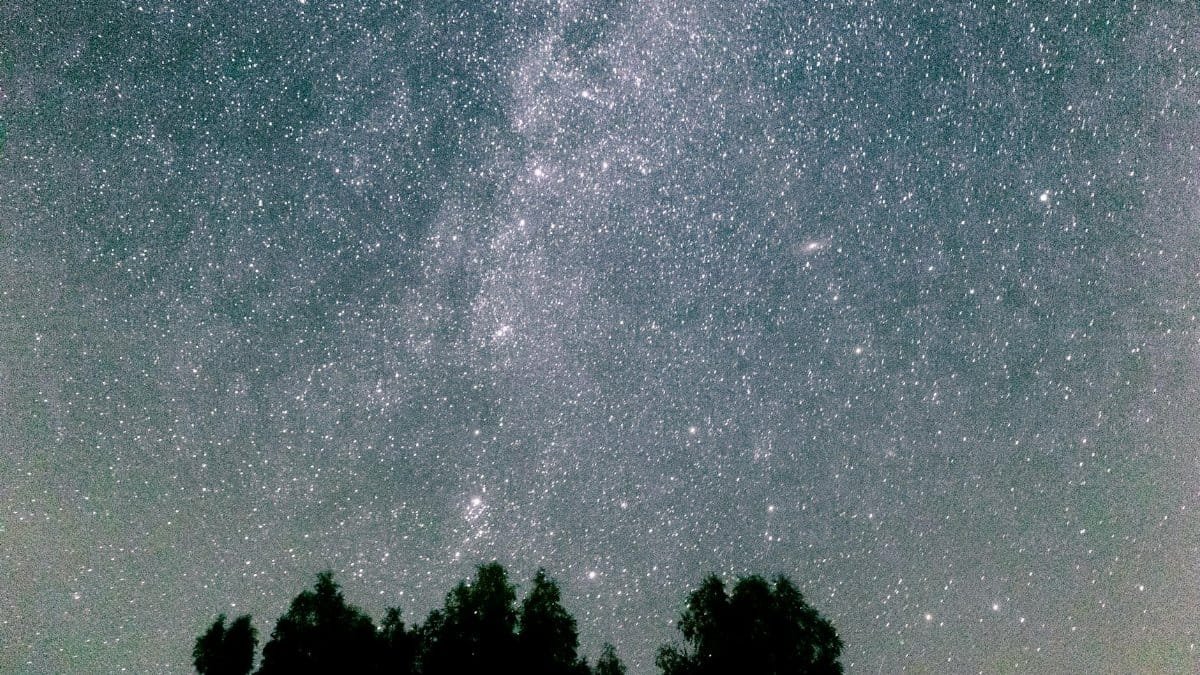 Breathtaking view of a star-filled night sky above silhouettes of trees in a rural setting.