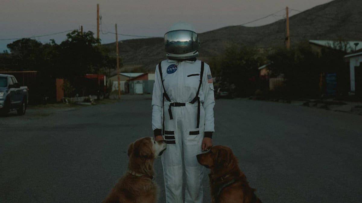 A person in an astronaut suit stands with two dogs on a quiet street at twilight.