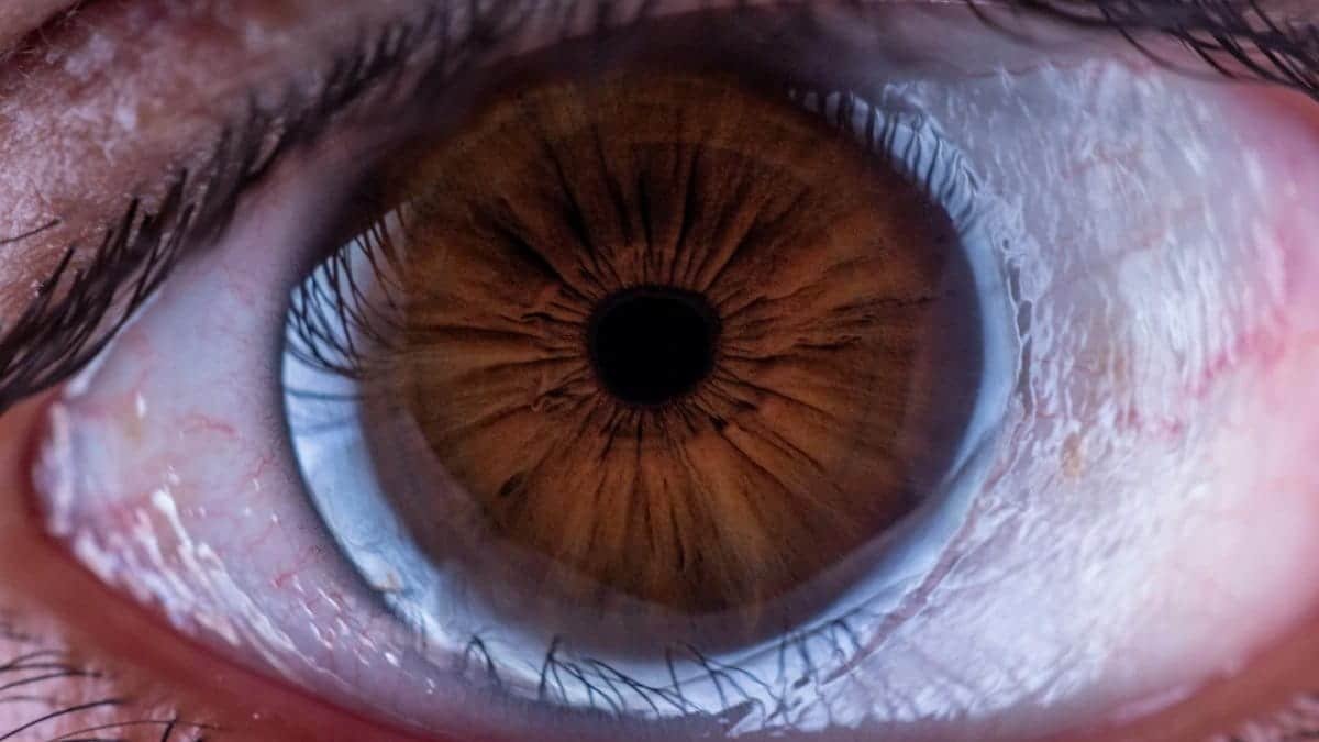 Detailed macro photograph highlighting the intricate details of a human eye, with a focus on the iris and pupil.