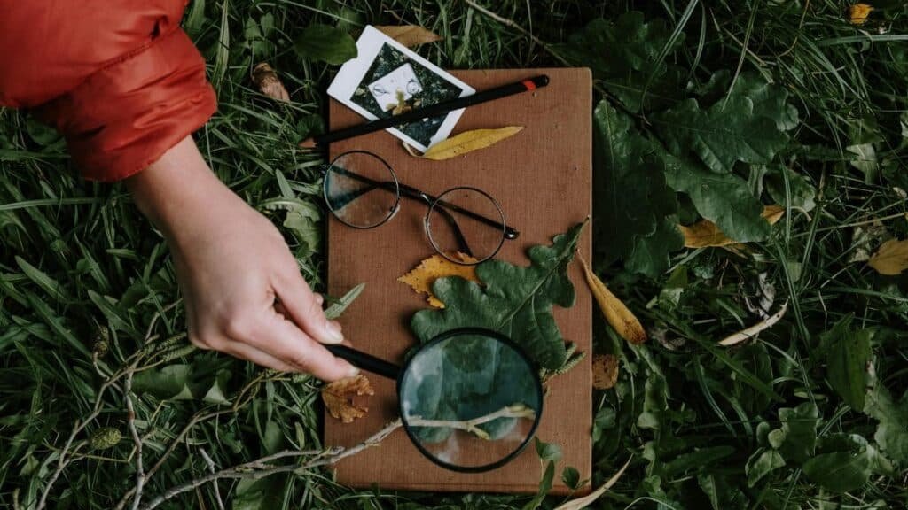 A hand examines leaves with a magnifier on grass. Eyeglasses and polaroid complete the scene.