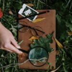 A hand examines leaves with a magnifier on grass. Eyeglasses and polaroid complete the scene.