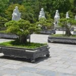 Peaceful garden scene featuring bonsai trees and Buddhist statues in Da Nang, Vietnam.
