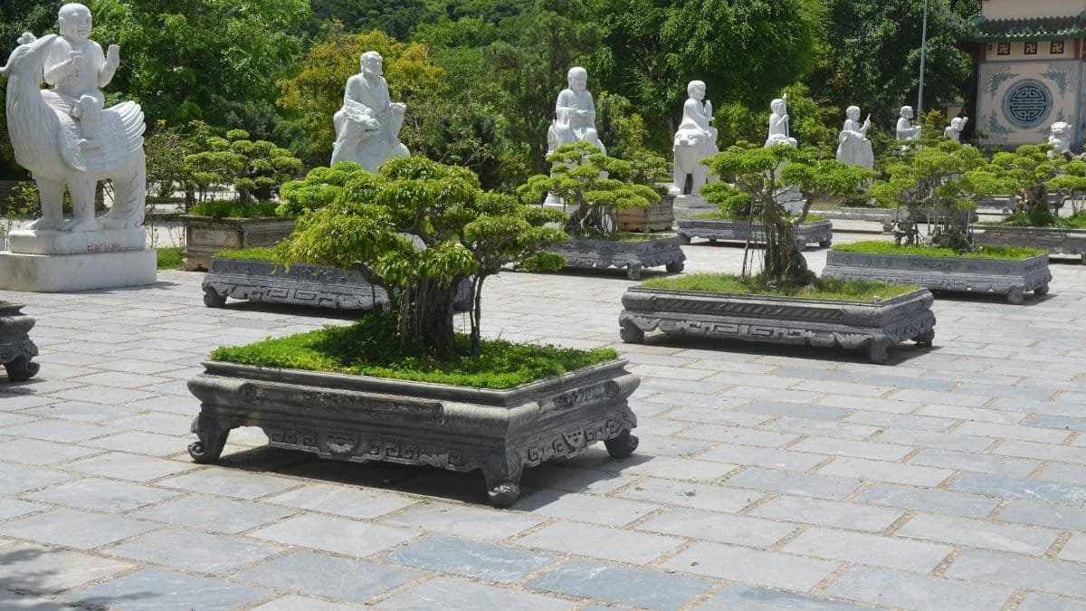 Peaceful garden scene featuring bonsai trees and Buddhist statues in Da Nang, Vietnam.