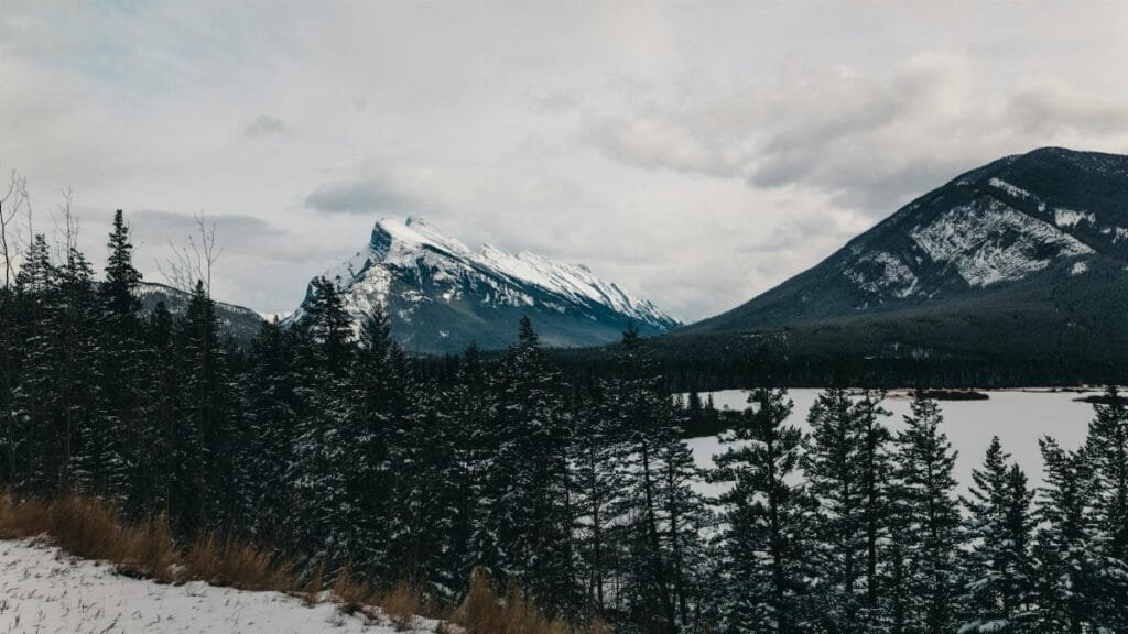 Snowy landscape of Banff National Park with pine trees and mountains.