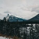 Snowy landscape of Banff National Park with pine trees and mountains.