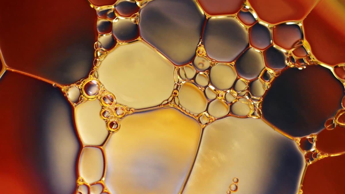 Close-up of colorful oil and water interaction creating a vibrant abstract pattern.