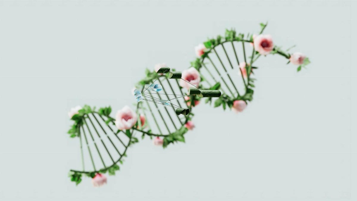 A conceptual representation of a DNA helix adorned with pink flowers and green leaves.