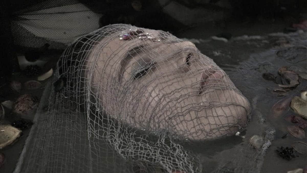 A captivating artistic portrait of a woman with a net covering her face, partially submerged in water, evoking mystery and depth.