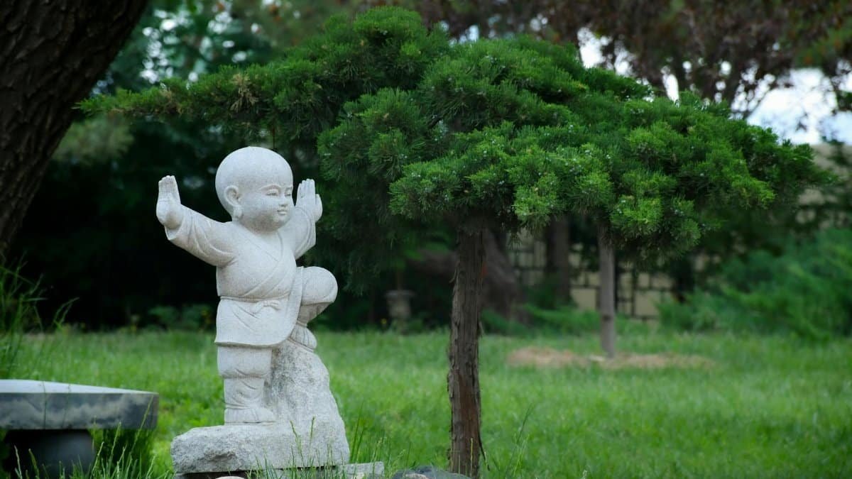 Peaceful garden scene featuring a bonsai tree and a Buddhist statue.