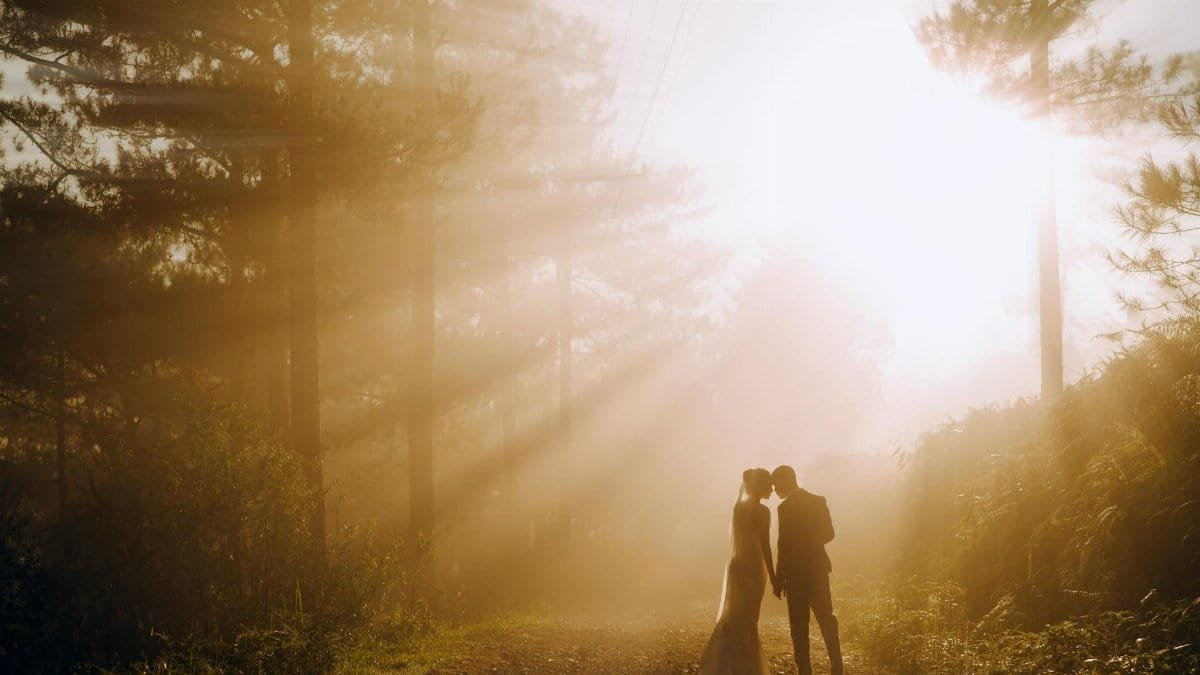 Back view of anonymous bride and groom holding hands while standing in woods near trees against bright sun beams in nature
