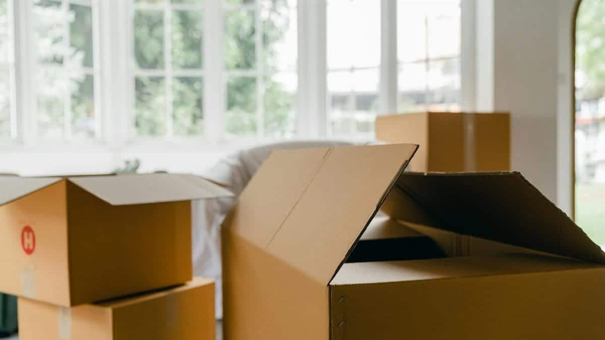 Open cardboard boxes in a spacious room with large windows, ideal for moving or organizing.