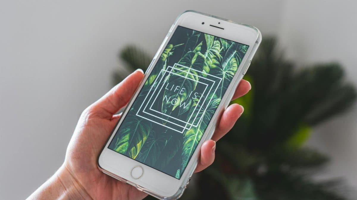 Close-up of a hand holding a smartphone with plant-themed wallpaper and inspirational text.