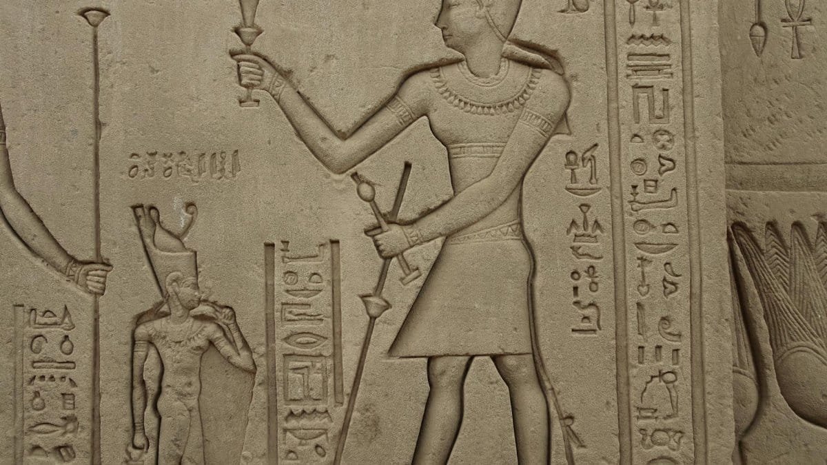 Close-up of detailed hieroglyphs and carvings on an ancient Egyptian temple wall, depicting historical symbols.