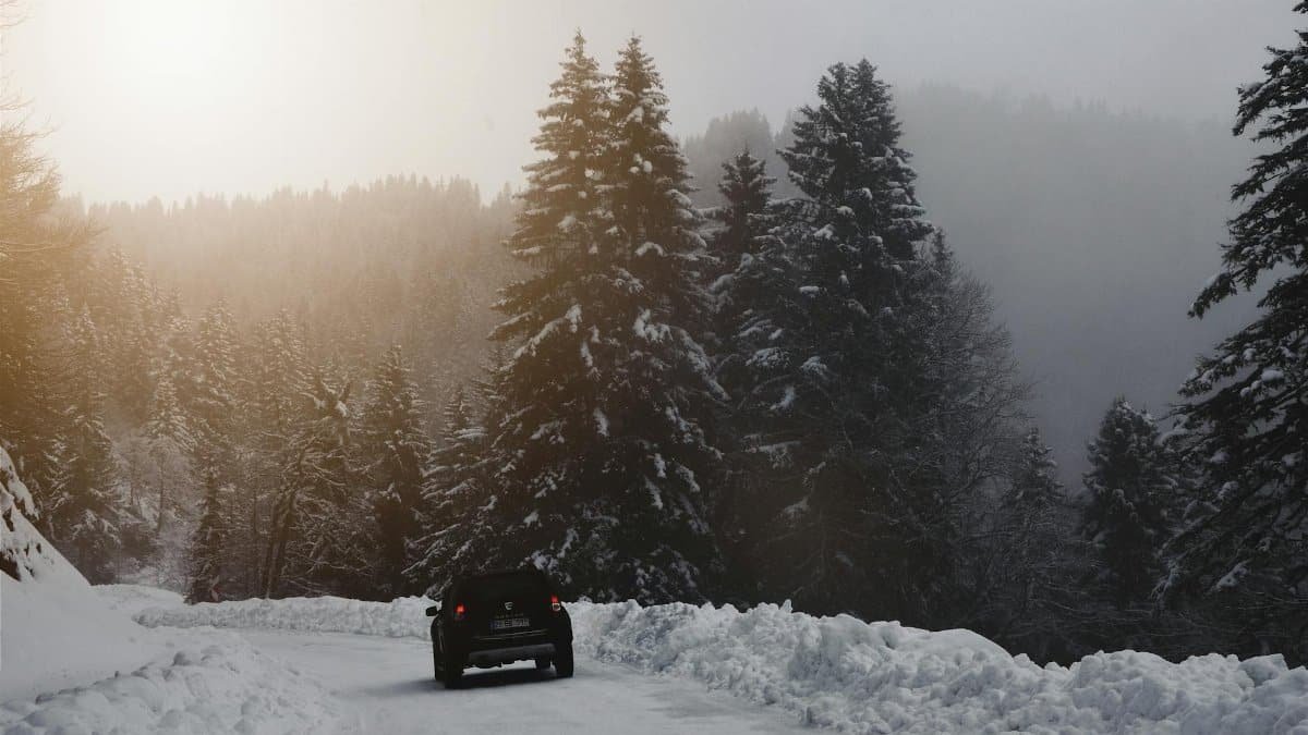 Car driving through a serene winter forest with snow-covered trees and misty atmosphere.