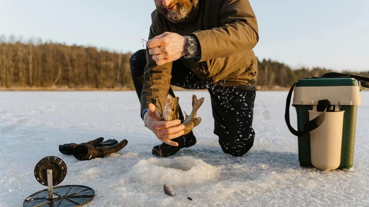 Man ice fishing on a frozen lake during winter, catching fish through a hole in the ice.