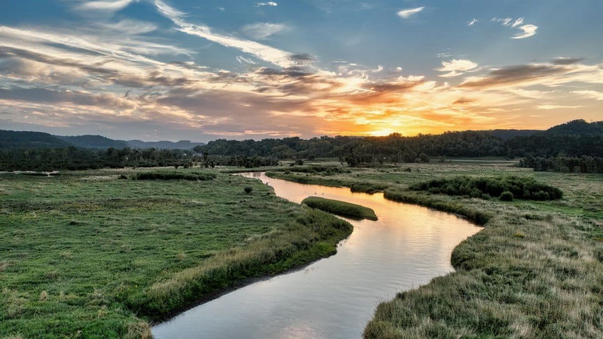 Peaceful river winding through verdant fields at sunset in Weaver, Minnesota.