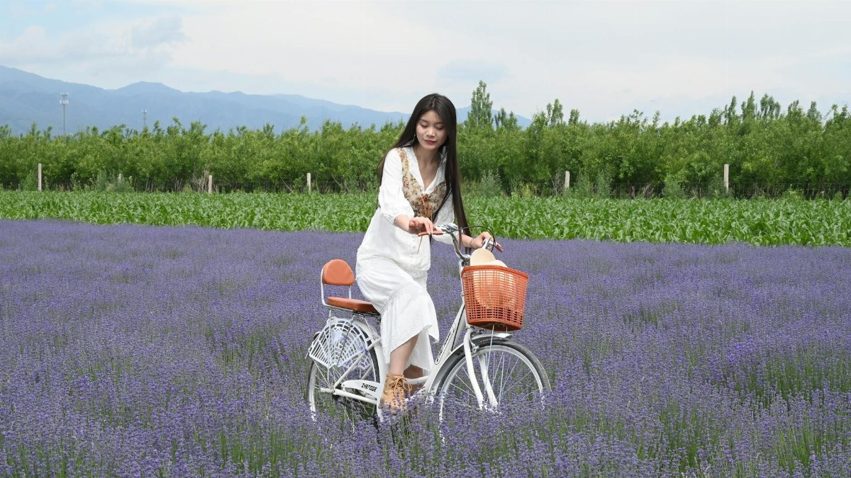 A woman in white rides a bicycle through a vibrant purple lavender field on a sunny day.