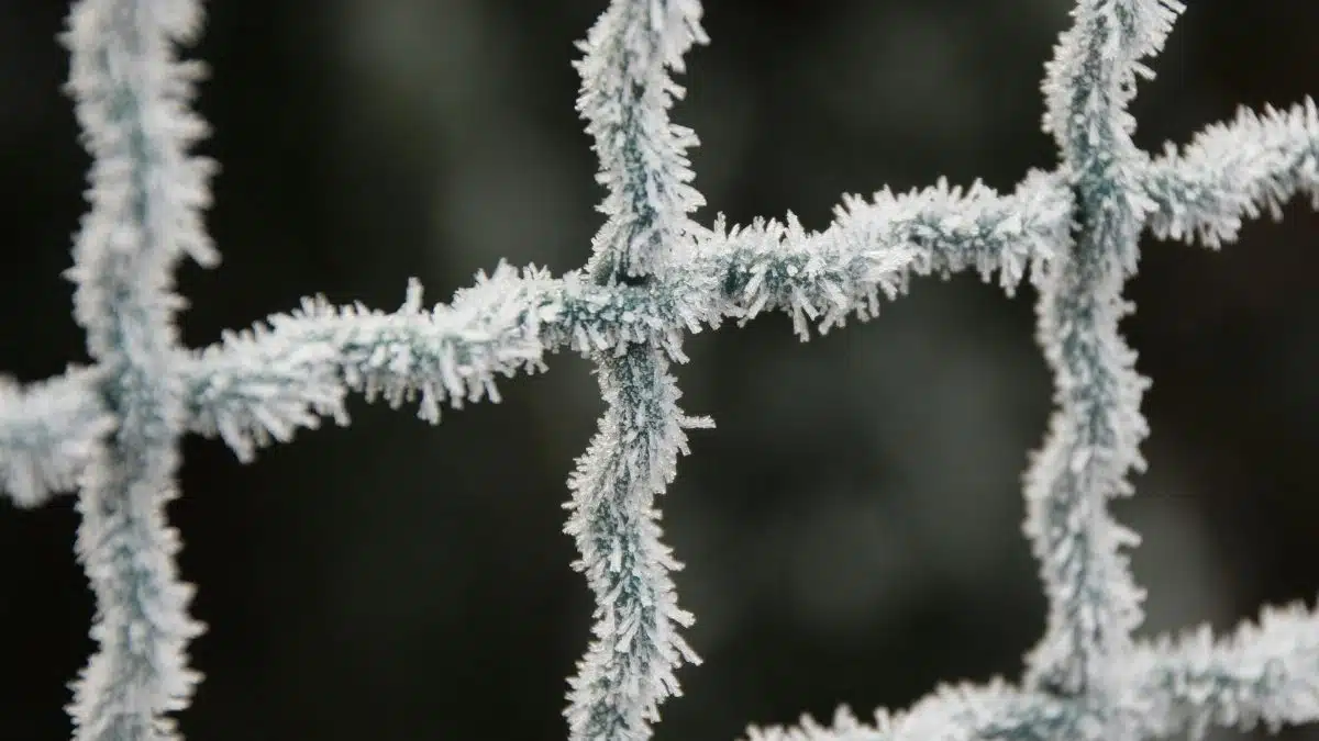 Detailed close-up of a frosted wire mesh with ice crystals in the winter season.