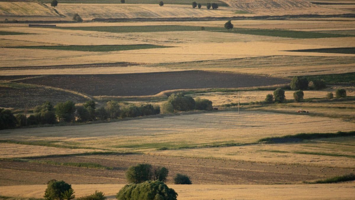 Expansive aerial view of layered fields in Kovancılar, Elazığ, under the warm summer sun.
