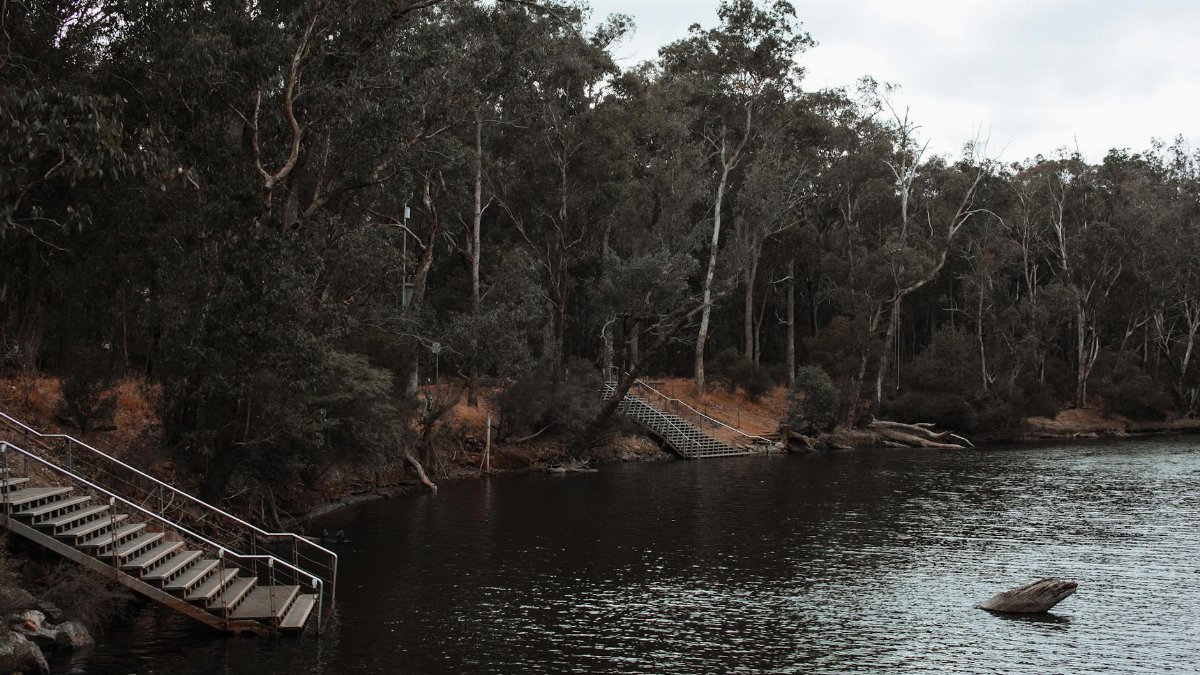 Scenic view of river near staircases and trees growing on hill in park under cloudy sky