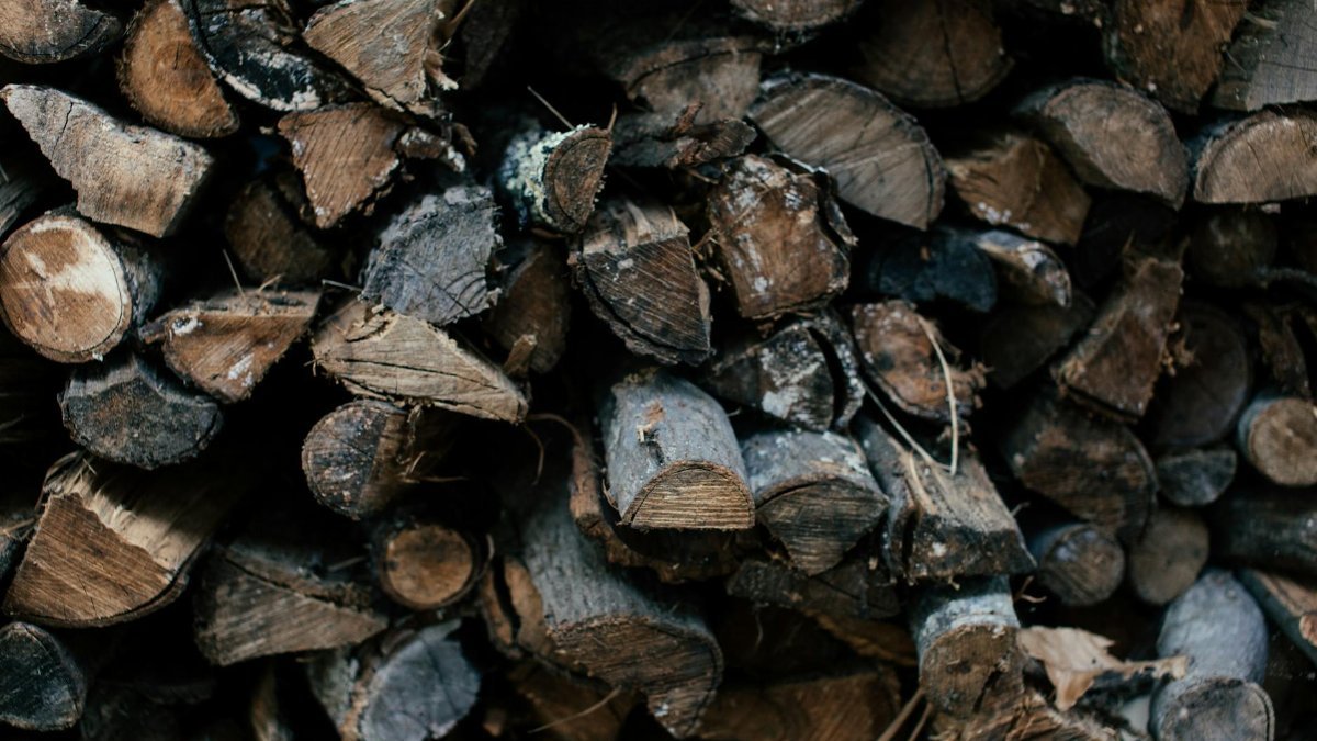 Close-up view of neatly stacked firewood showcasing natural textures and earthy tones.