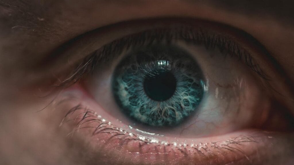 Extreme close-up image capturing the intricate details of a blue human eye with remarkable clarity.