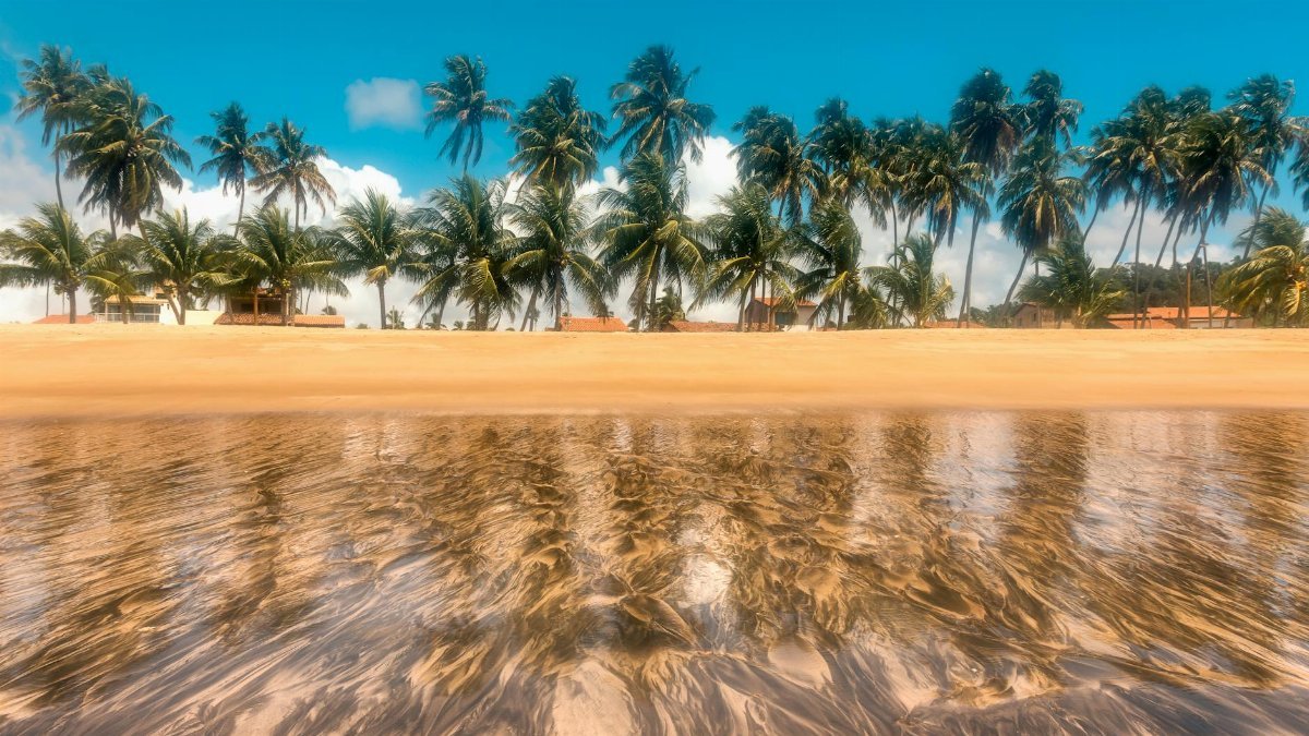 Serene view of São Miguel dos Milagres beach with coconut trees reflected in sand and water.