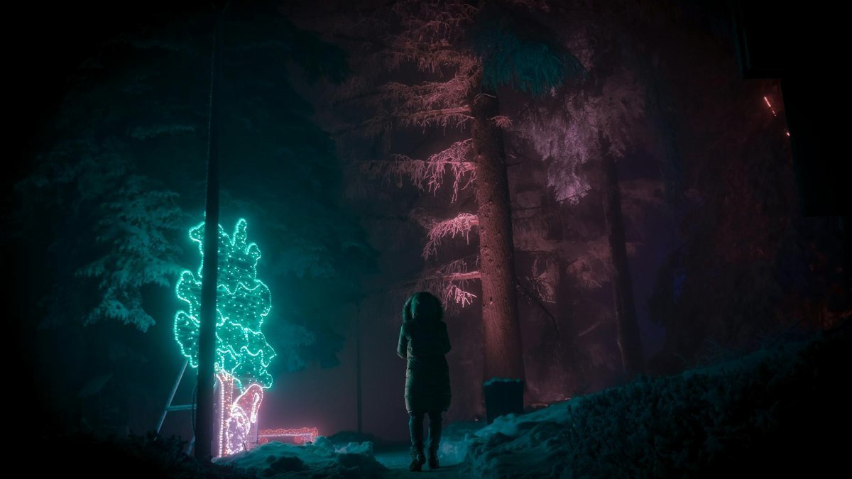 A person in a winter coat walks under glowing trees on a mystical night.