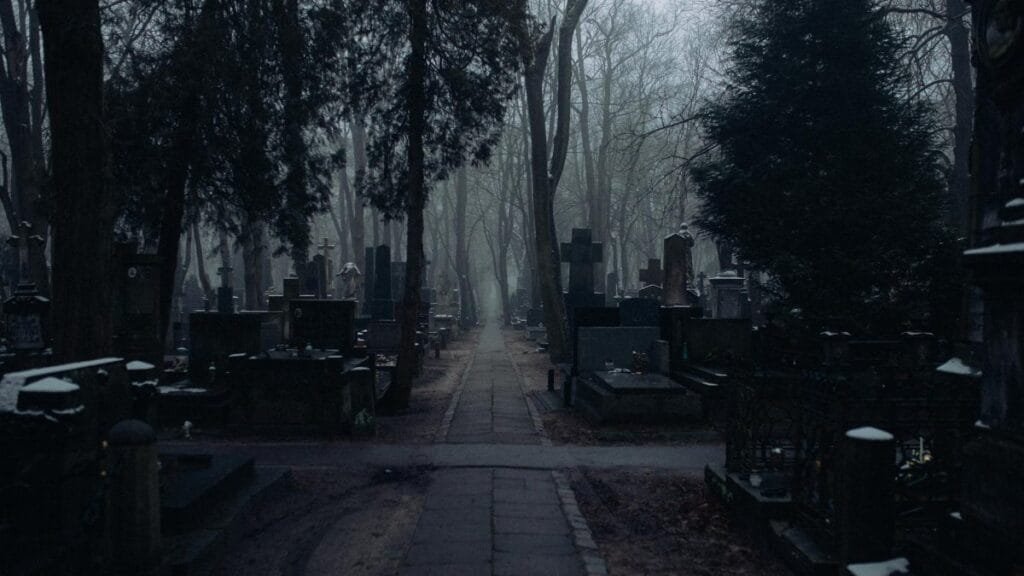 Serene and mysterious graveyard scene with tombstones in a foggy winter setting.