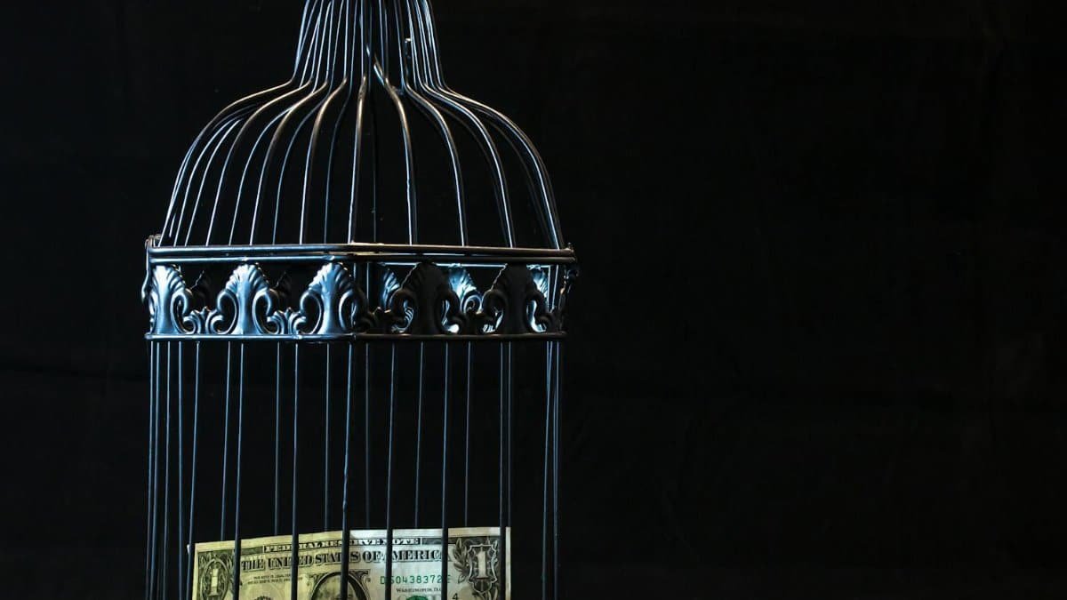 A dollar bill imprisoned in a decorative cage symbolizing financial confinement.