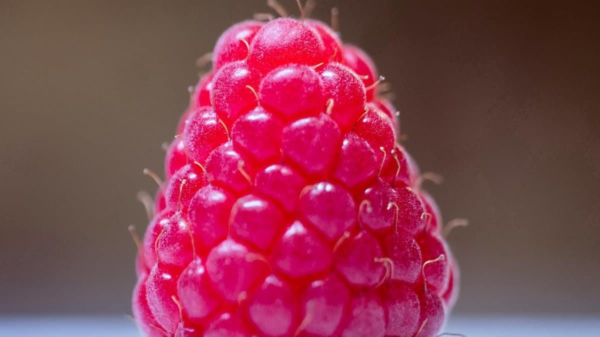 Raspberry