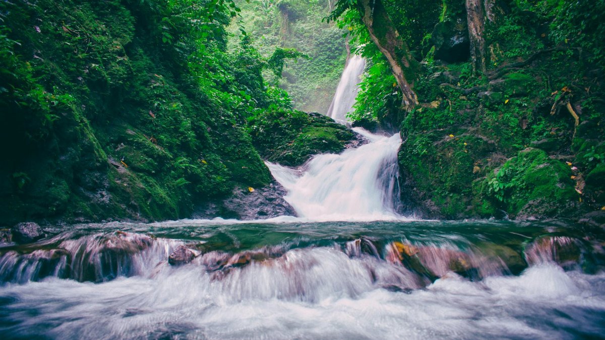 A tranquil waterfall flows through a lush, green forest in Bicol, Philippines, creating a serene natural landscape.