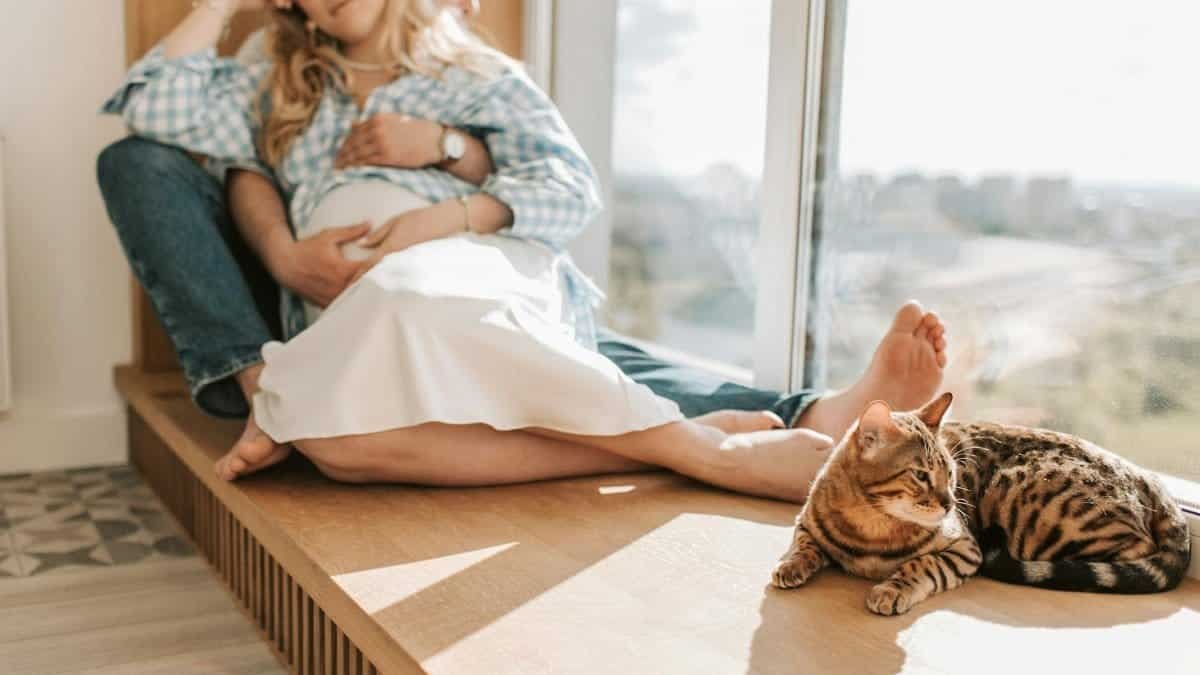 Pregnant couple embraces while sitting indoors with their cat by a window.