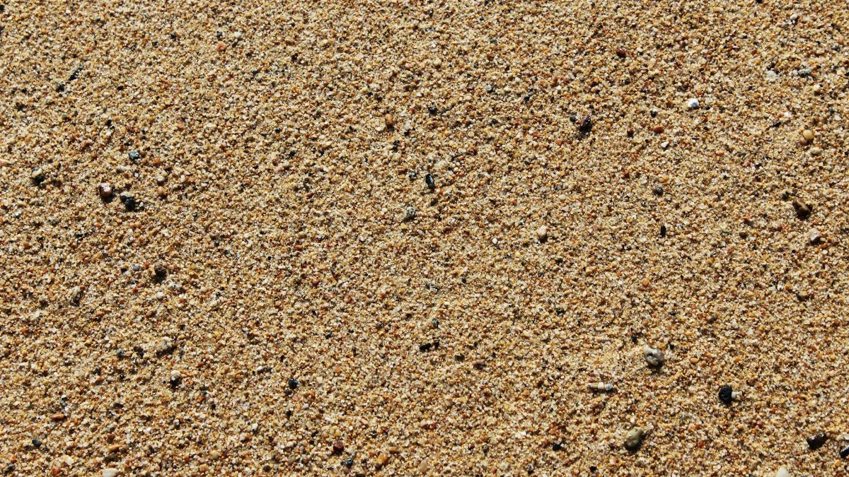 Detailed close-up of sandy beach surface displaying texture and tiny pebbles.