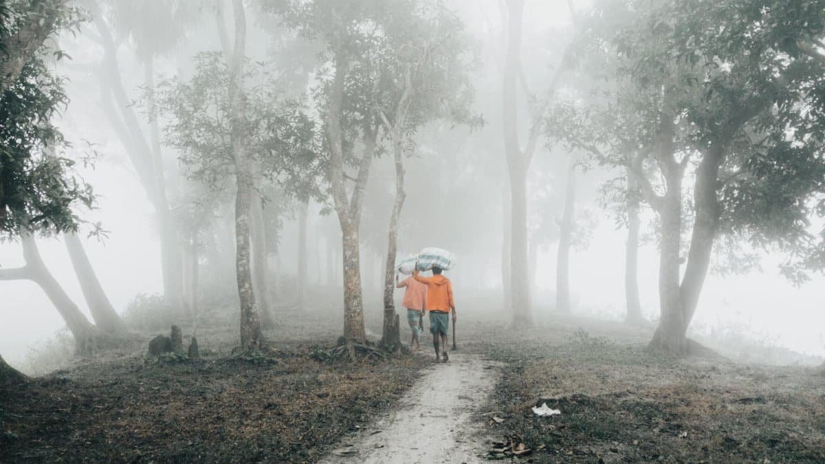 Two men walking through a misty forest in Chittagong, Bangladesh, creating a serene and atmospheric scene.