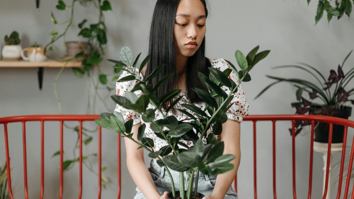 Asian woman sitting thoughtfully on a red bench indoors, holding a potted plant.