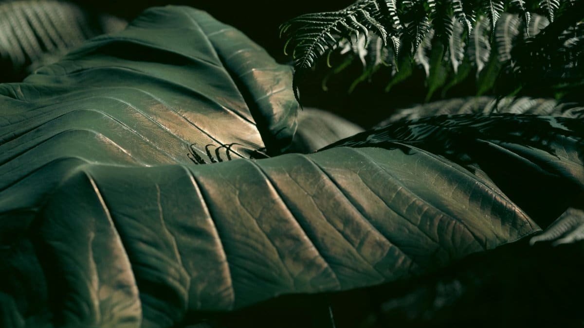 Close-up of lush green monstera and fern leaves with dramatic, dappled light highlighting textures.