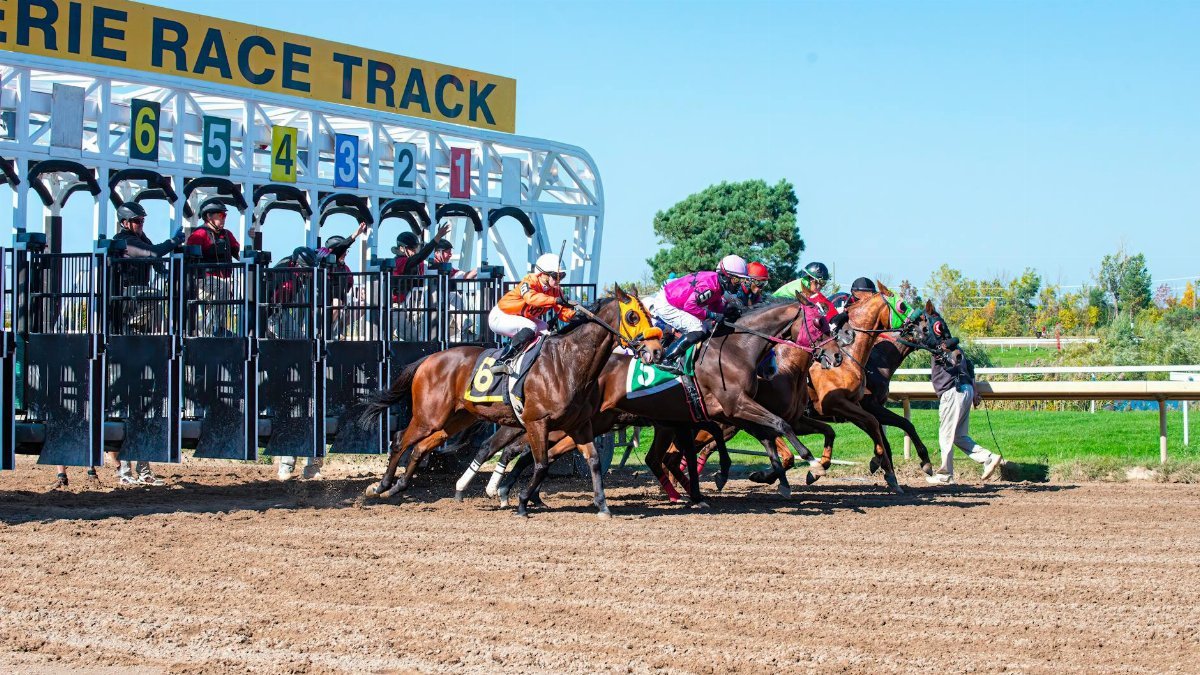 Horses bolt from starting gates at Erie Race Track, jockeys poised for competition.