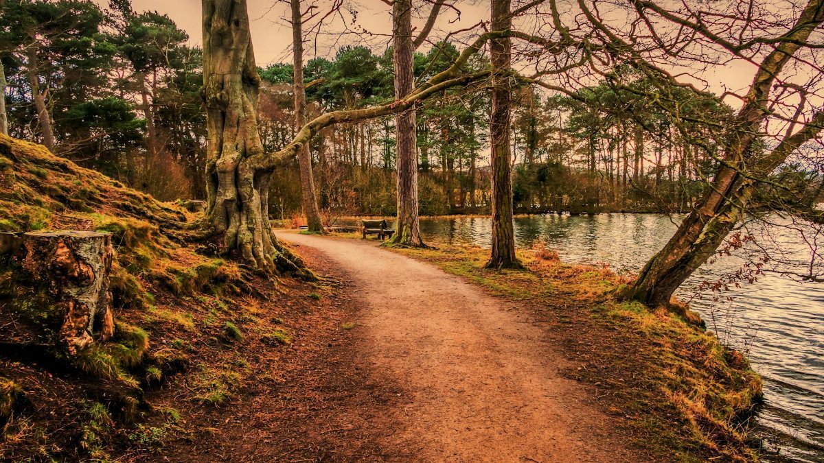 Quiet woodland path by a tranquil riverbank in Cumbria, England, surrounded by trees in a serene landscape.
