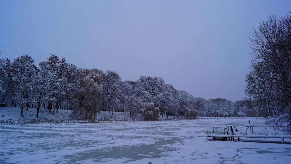 A peaceful winter scene with a snow-covered river and frosted trees at dusk.
